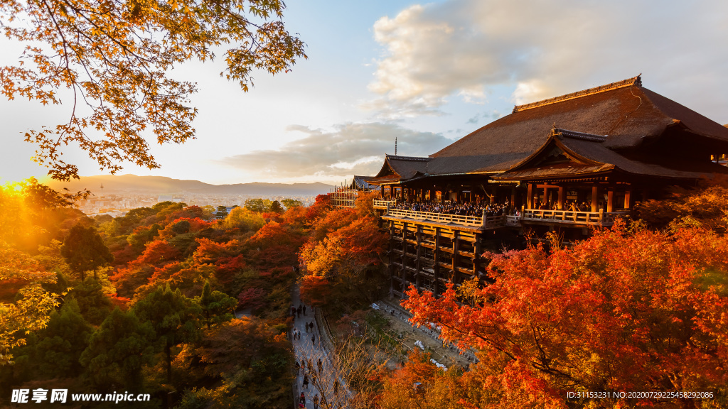 风景