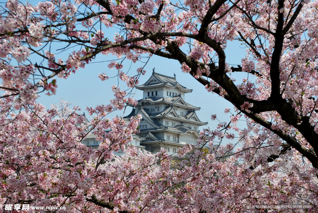 风景