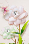 鲜花素材图片