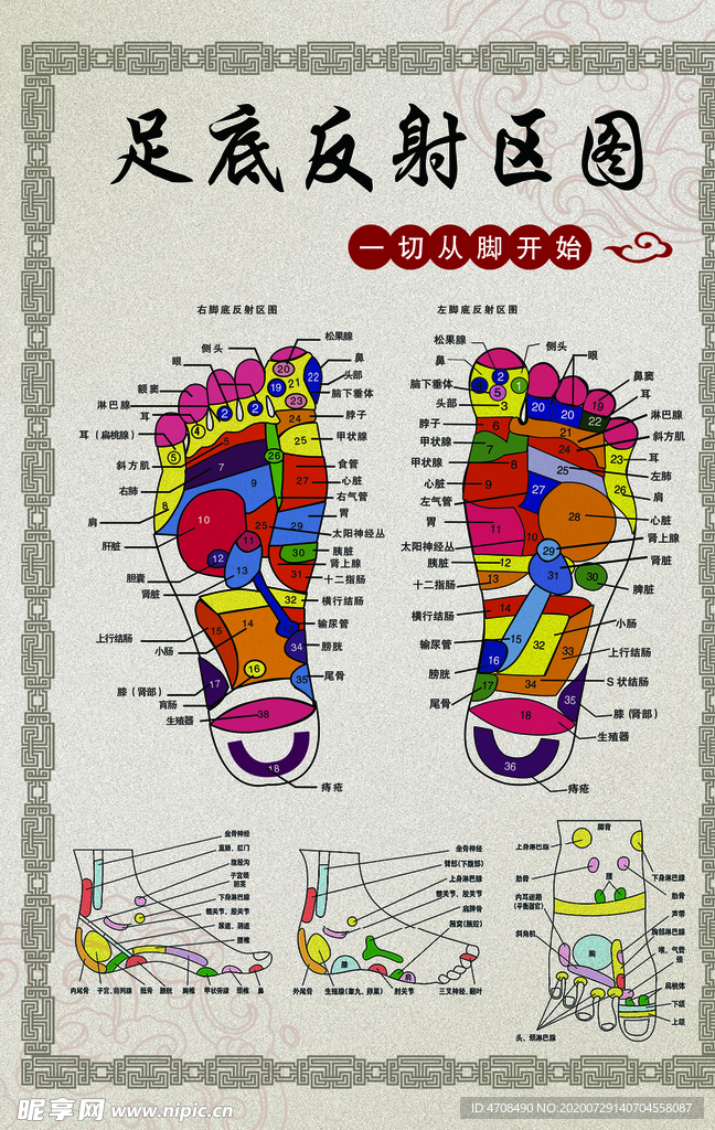 足底反射图