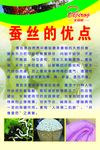 蚕丝