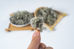 茵陈