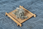 茵陈