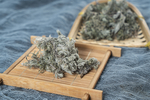 茵陈