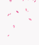 花瓣