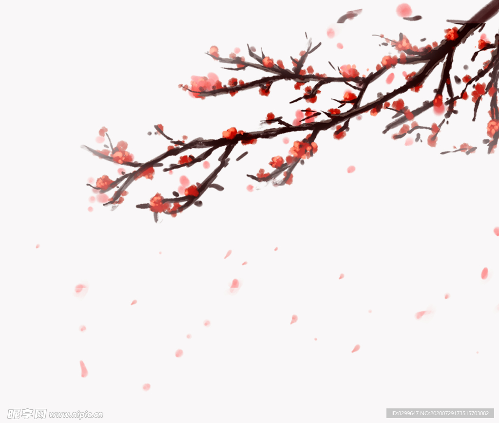 花枝