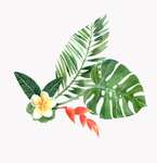 花叶