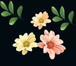 花叶