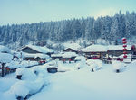 雪乡