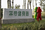 林带健身路