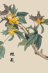 桂花装饰画