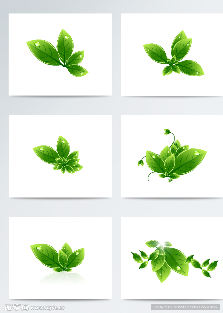 矢量绿色植物叶子元素素材