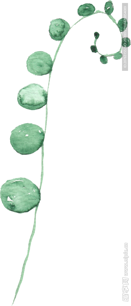 海报元素 花草元素 展架元素