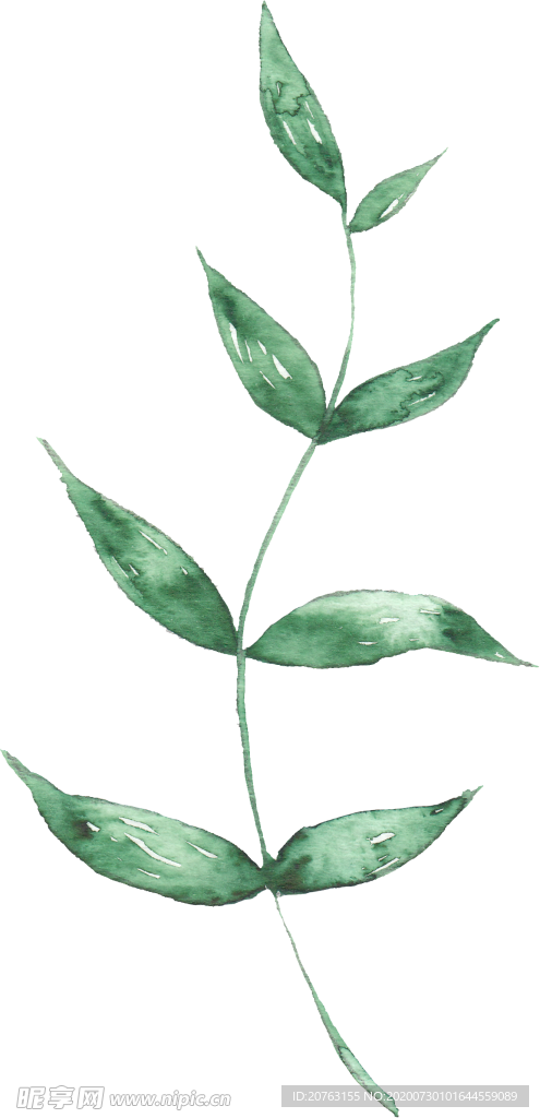 海报元素 花草元素 展架元素