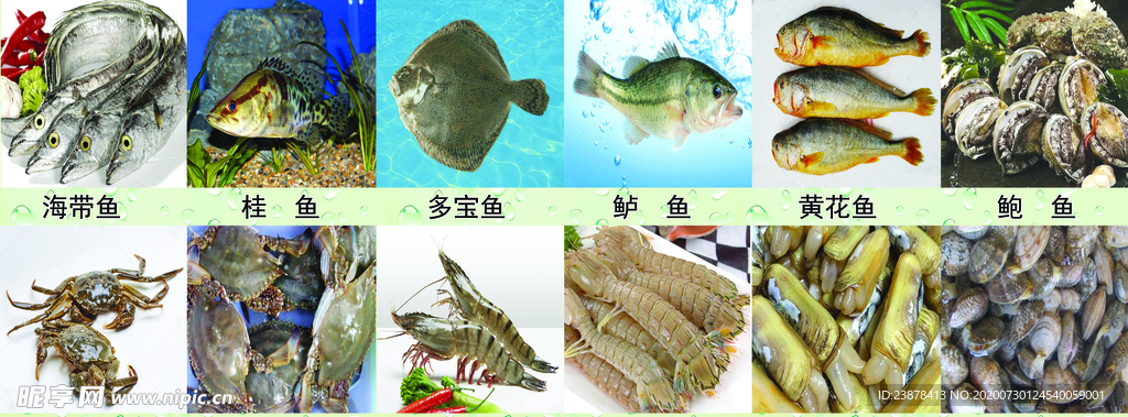 海鲜