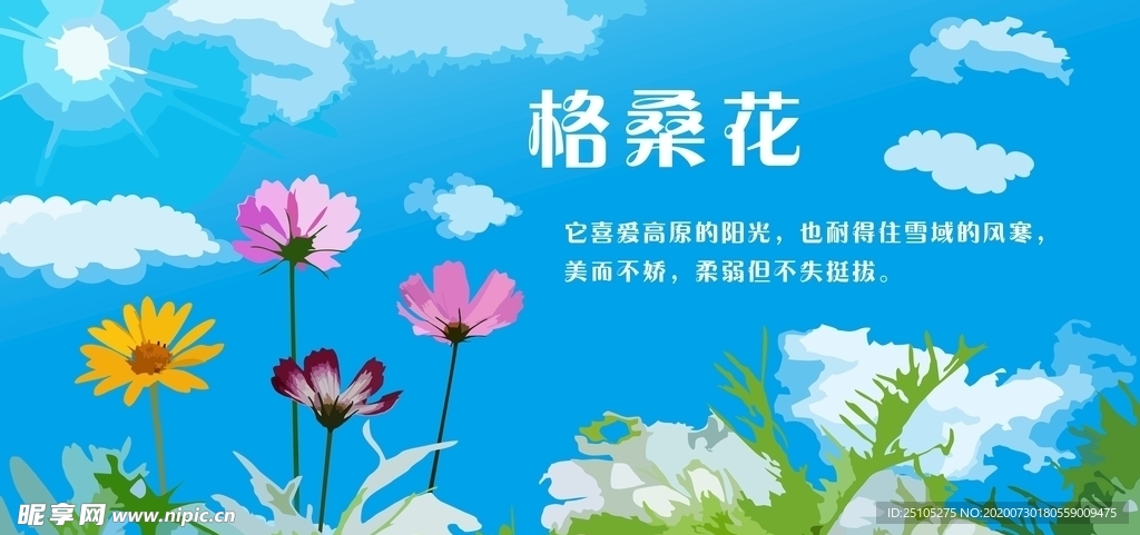 格桑花