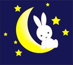 月亮与兔子