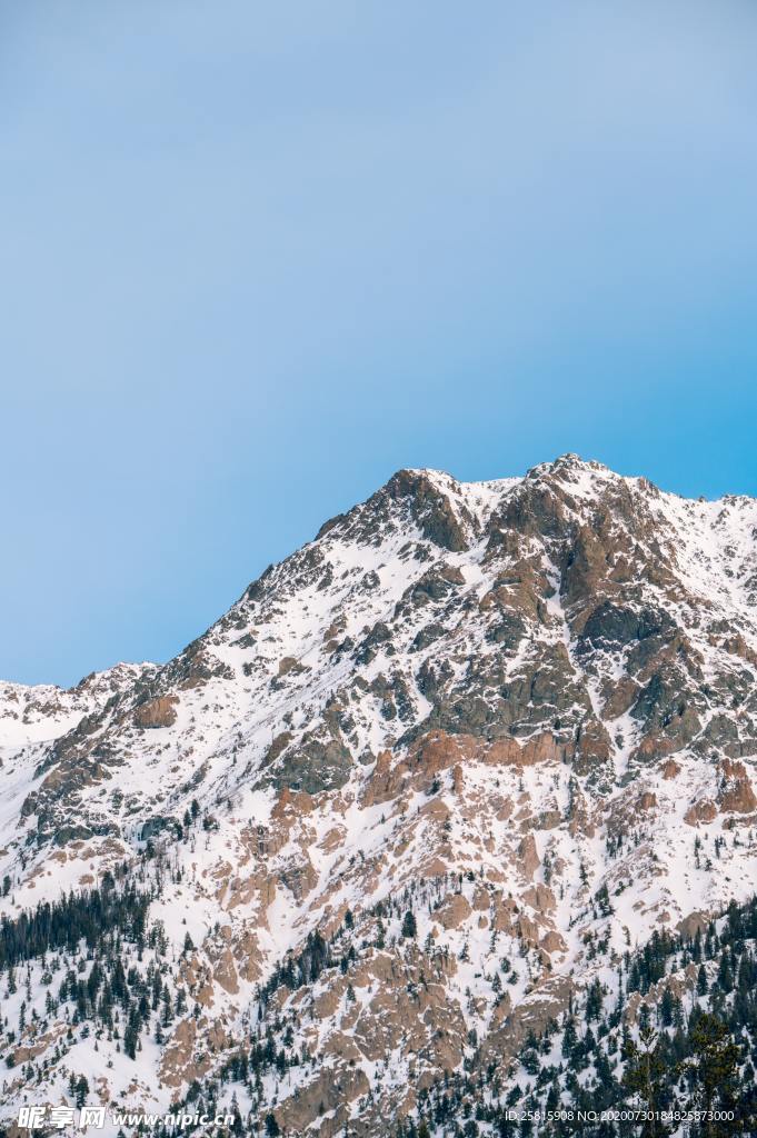 雪景