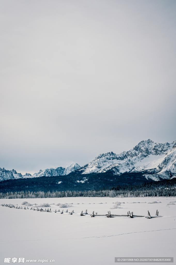 雪景