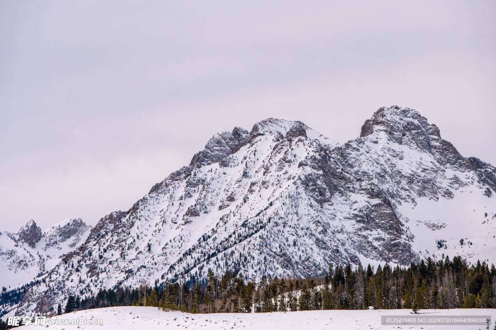 雪景