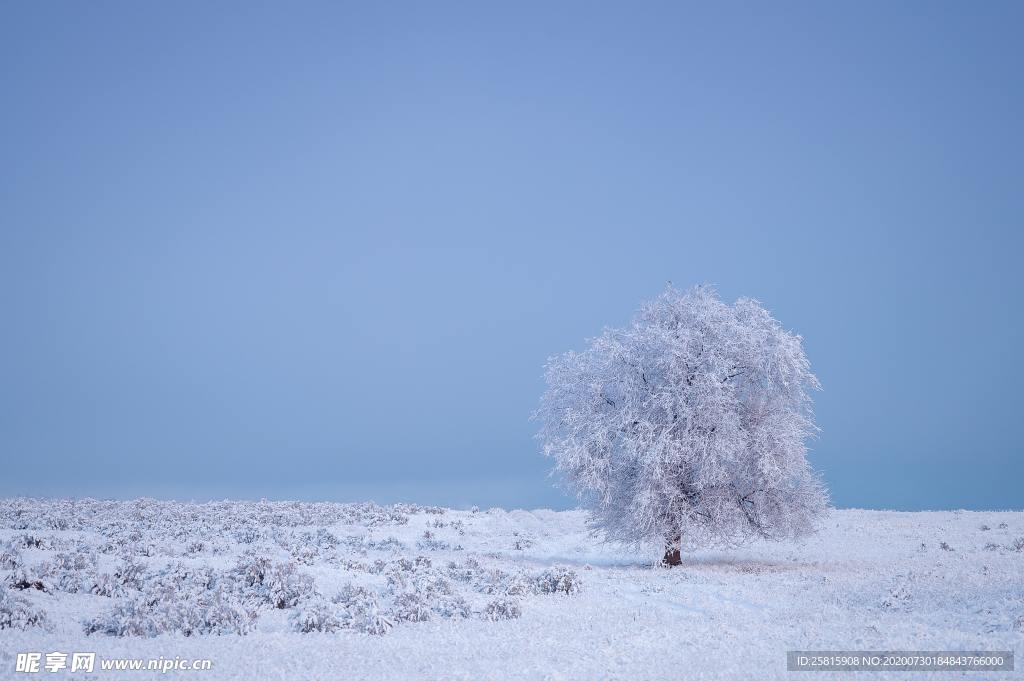 雪景