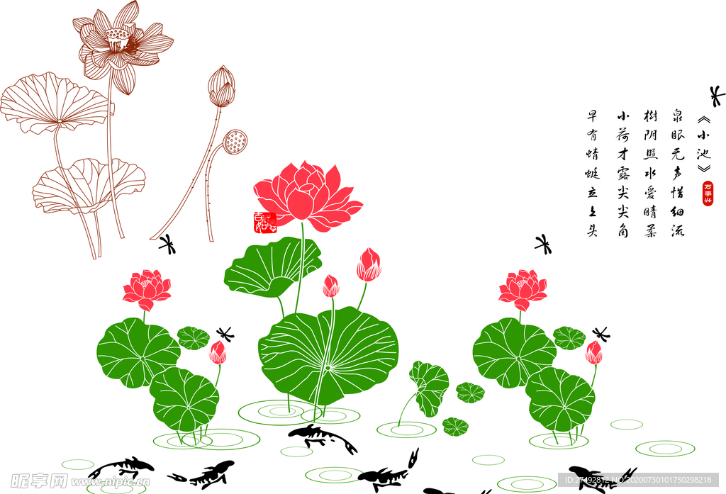 荷花