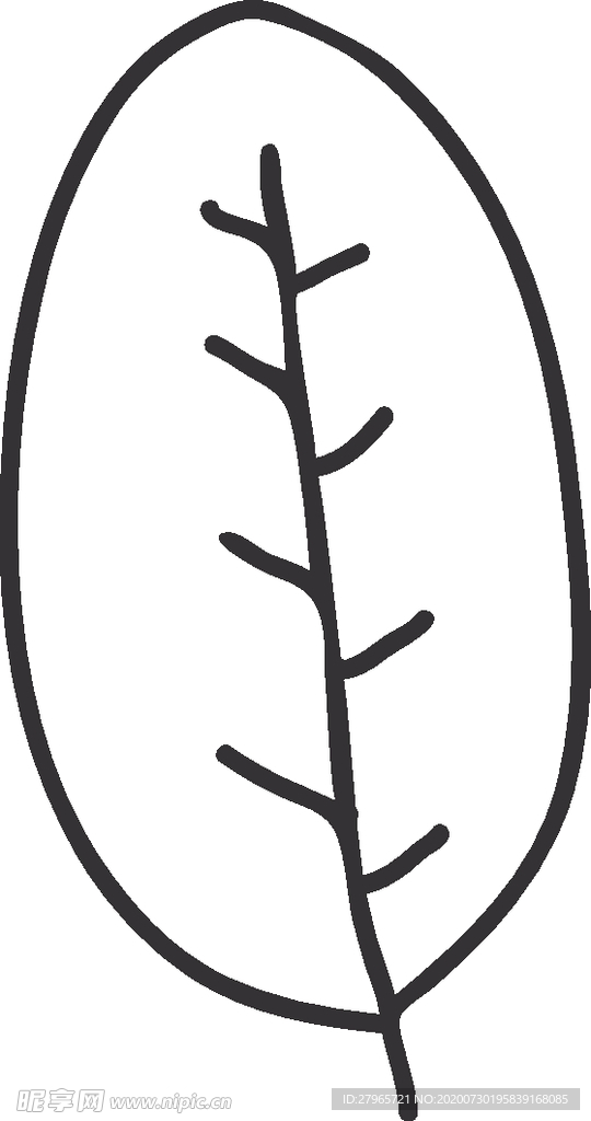 手绘花卉元素