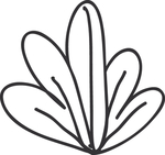 手绘花卉元素
