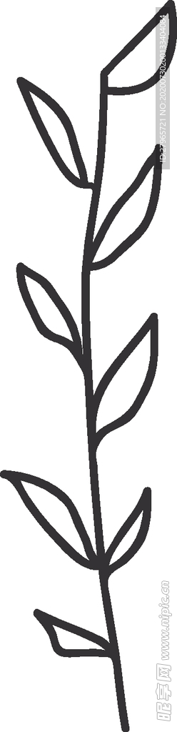 手绘花卉元素