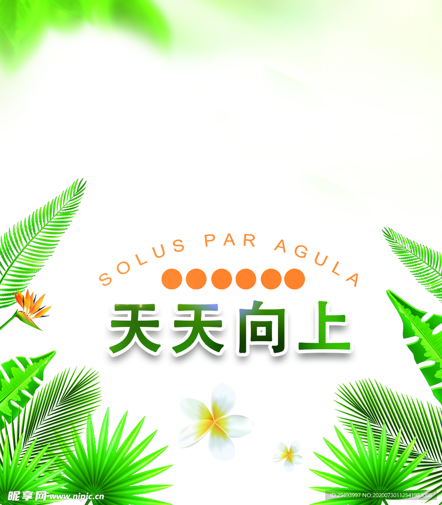 树叶围绕