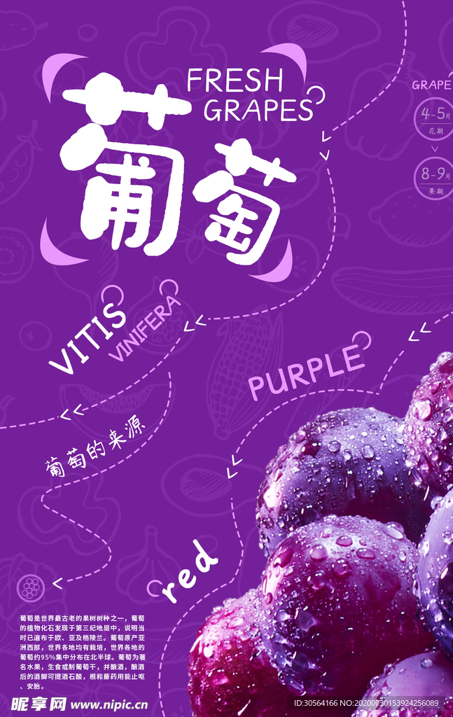 葡萄水果活动促销宣传海报素材
