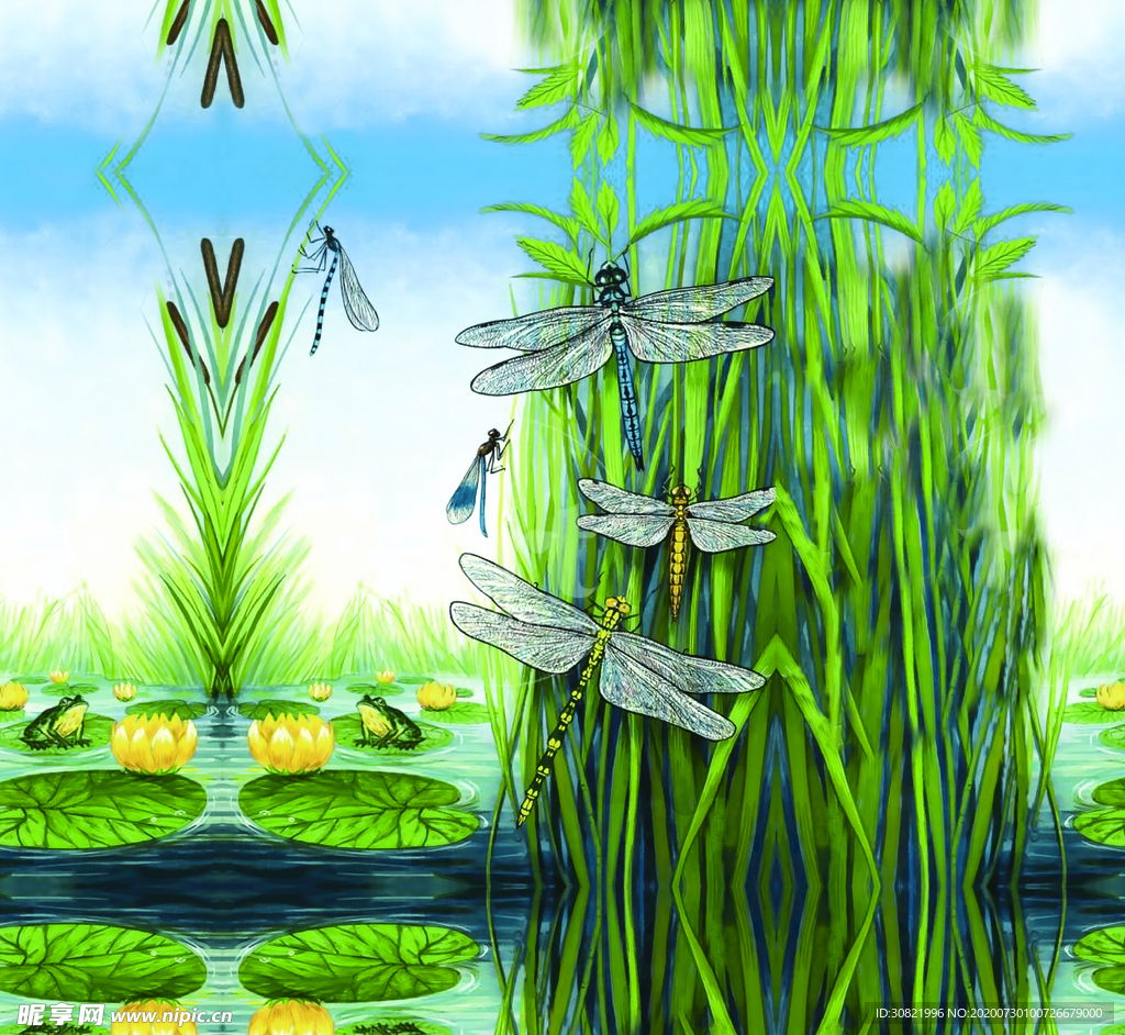 蜻蜓