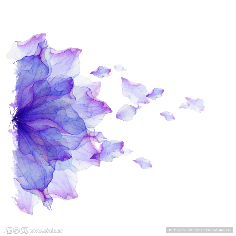 花朵