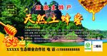 天然土蜂蜜标签