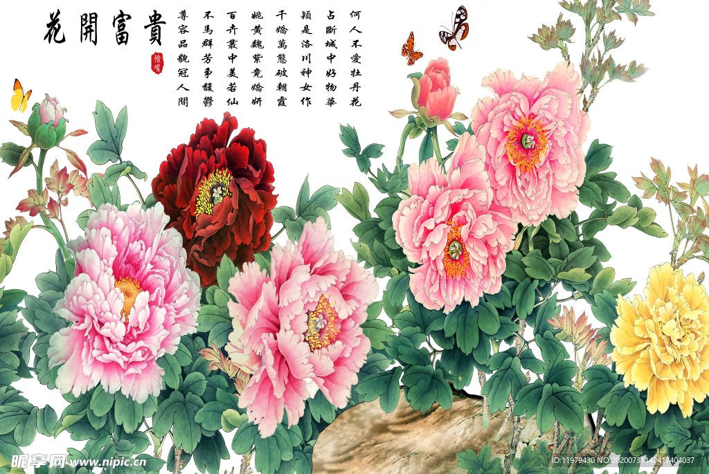 花开富贵