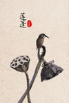 莲蓬装饰画