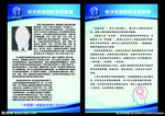 怀少大脑