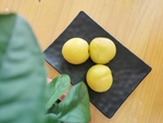 黄金奈李