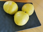黄金奈李