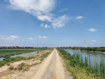 蓝天小路