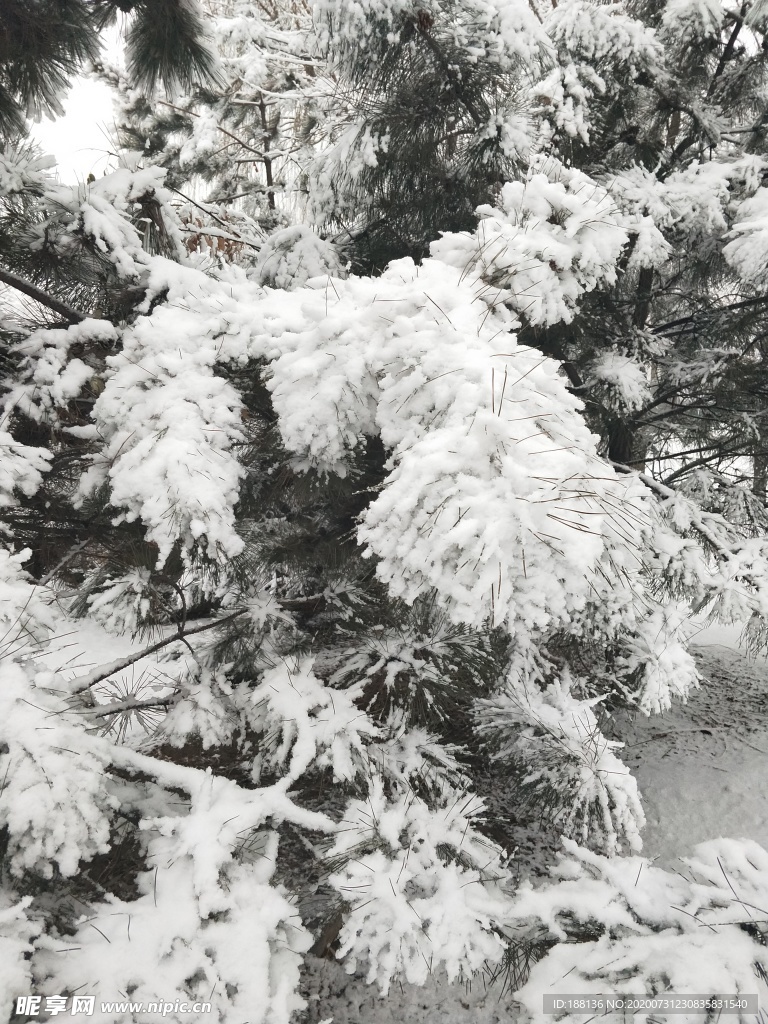 雪花