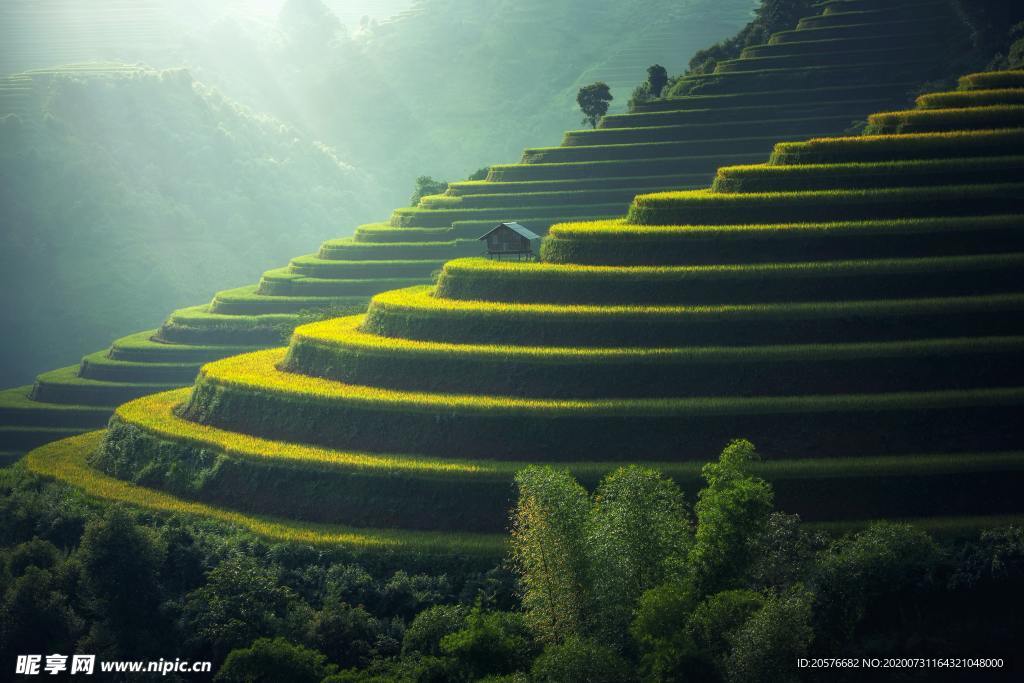 山中梯田