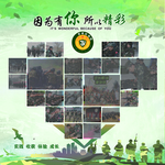 照片墙