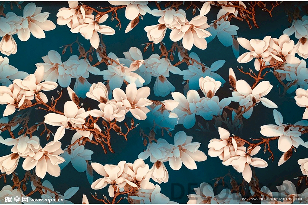 木兰
