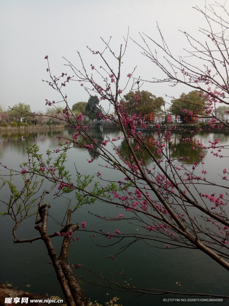 蠡园