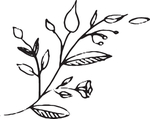 手绘花卉元素