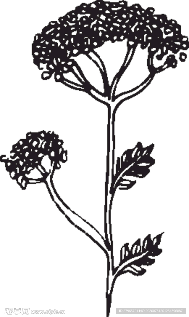 手绘花卉元素