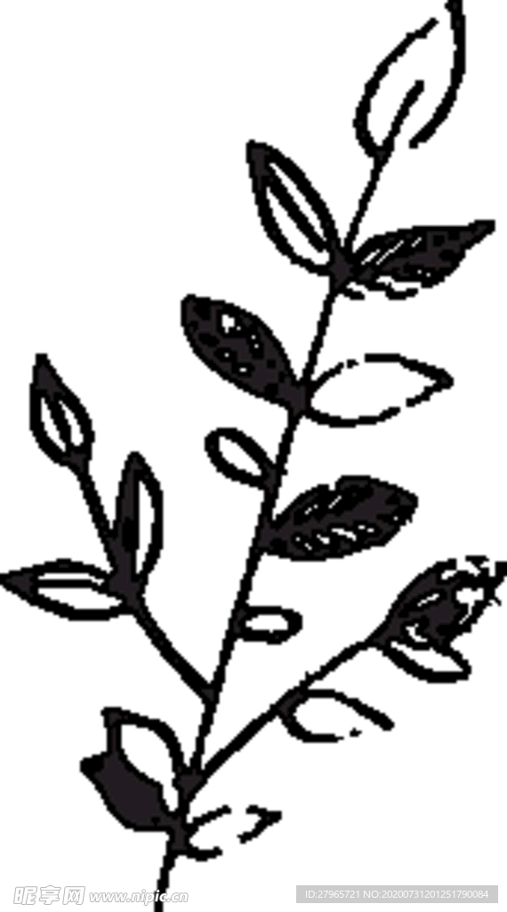 手绘花卉元素