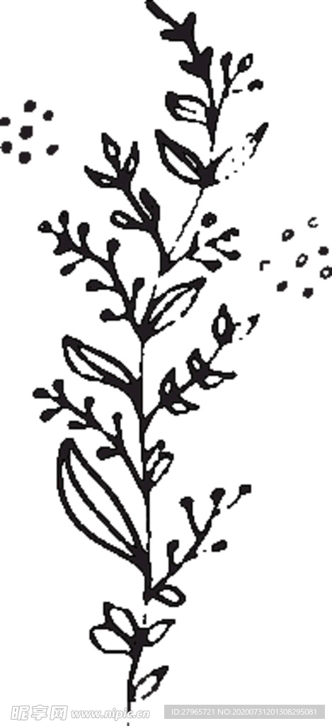 手绘花卉元素