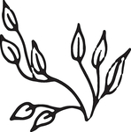 手绘花卉元素